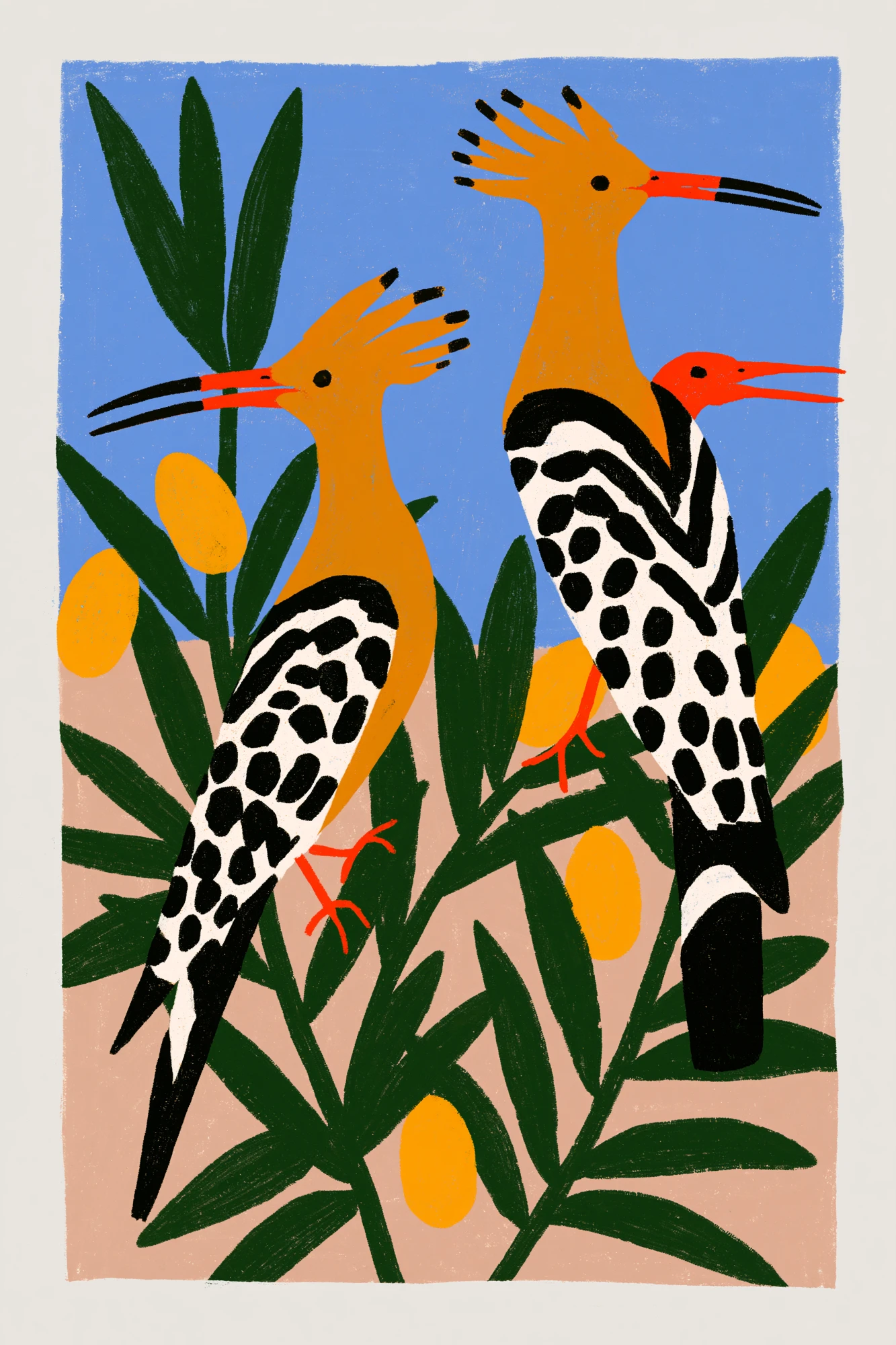 Hoopoes